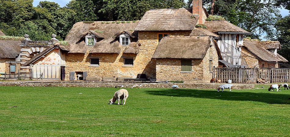 Camping à la ferme : comment ça se passe ?